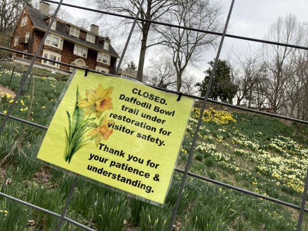 Daffodil Bowl trail is under restoration for visitor safety.