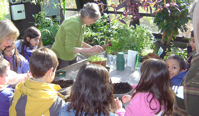 A group of kids on a field trip in a large greenhouse