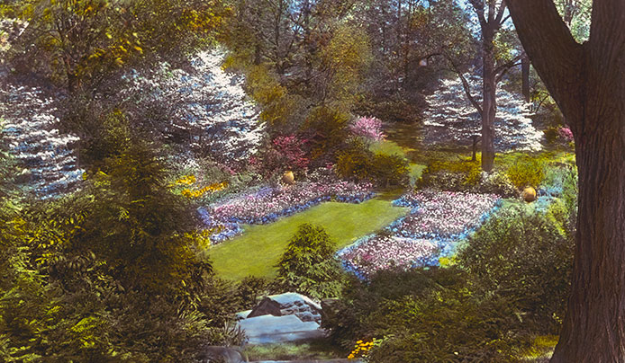 The Historic Gardens - Large azalea garden colorized