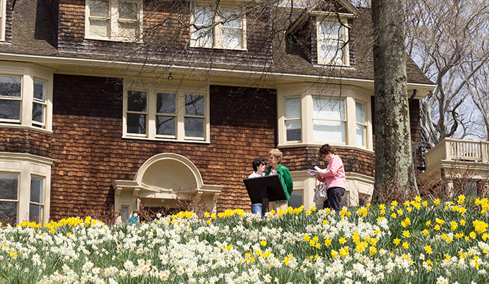 A group of people walking through wisner daffodils at their own pace during a self-guided tour