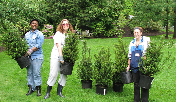 Volunteers carrying potted plants