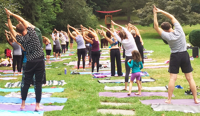 Group Yoga on a lawn