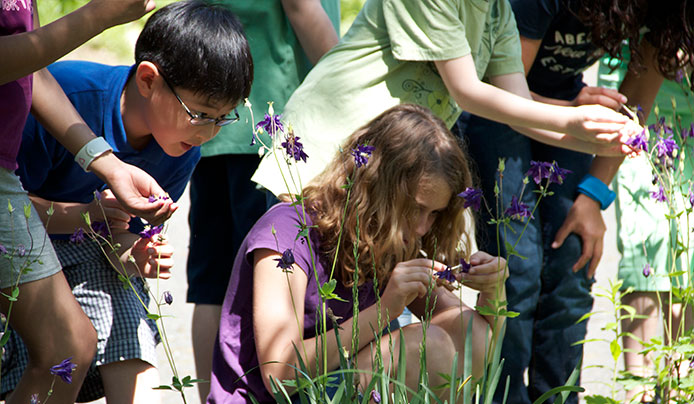 Kids and families examining the flowers