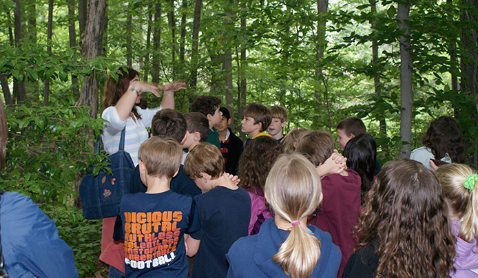 Learn School Field Trip with a large teaching group