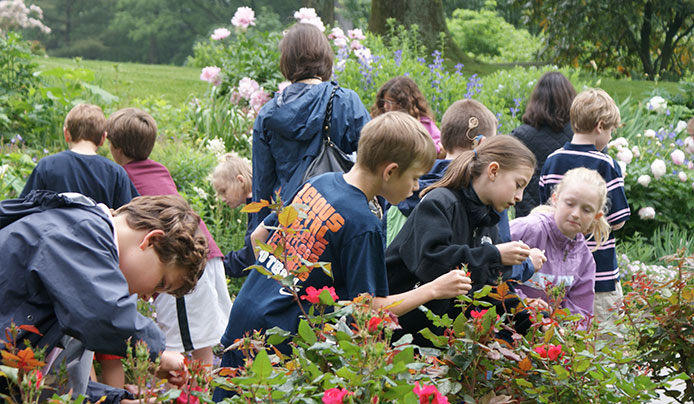 Student Field Trips where kids explore the pollinating gardens