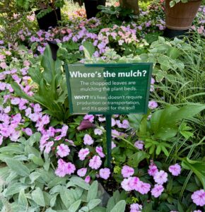 Gorgeous pink flowers surrounded with leaves with a sign saying, "Where's the mulch?"