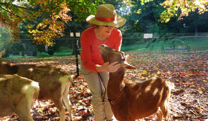 Lisa with a friendly goat