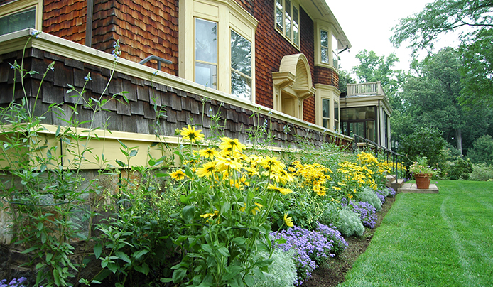 The south terrace border, lined with yellow and purple flowers