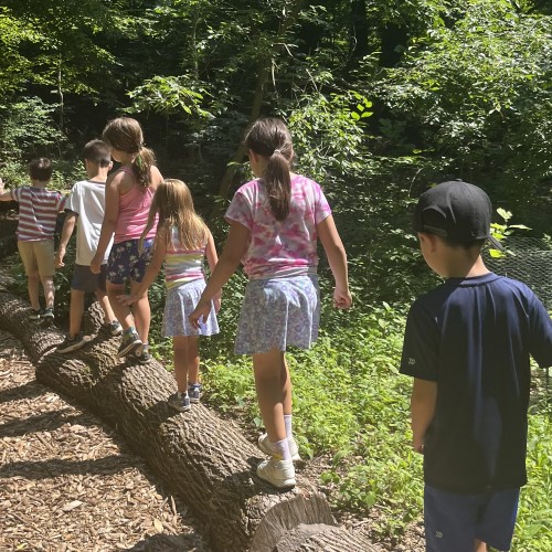 Nature, log, children, woodlands