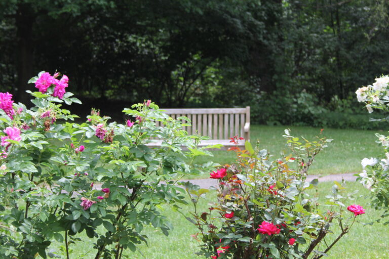 Bench flowers