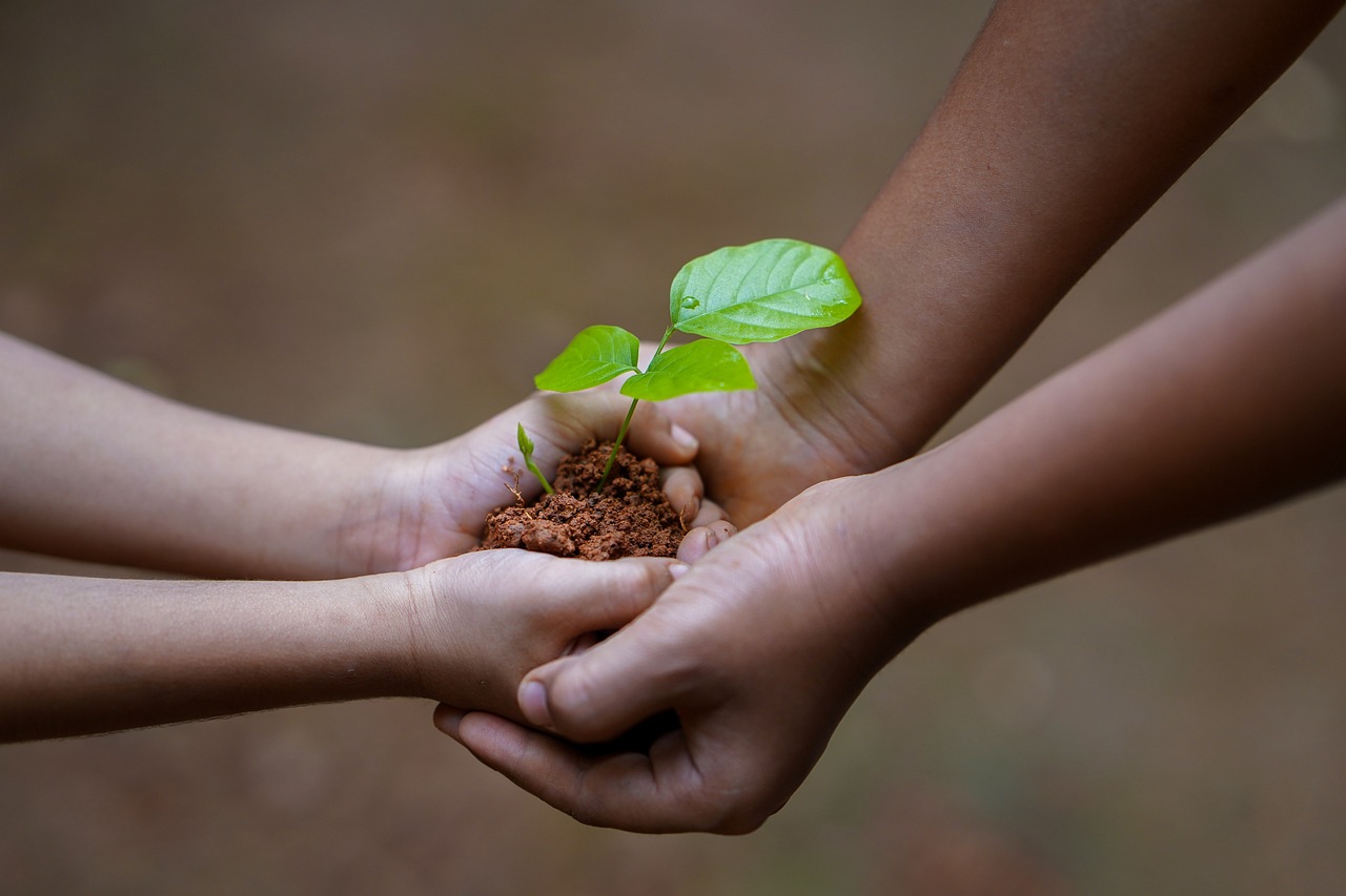 small plant hands