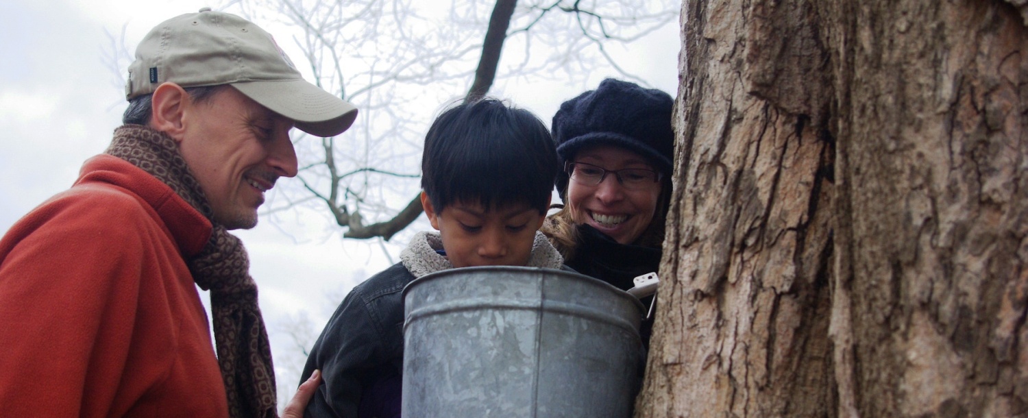 bucket, tree, people