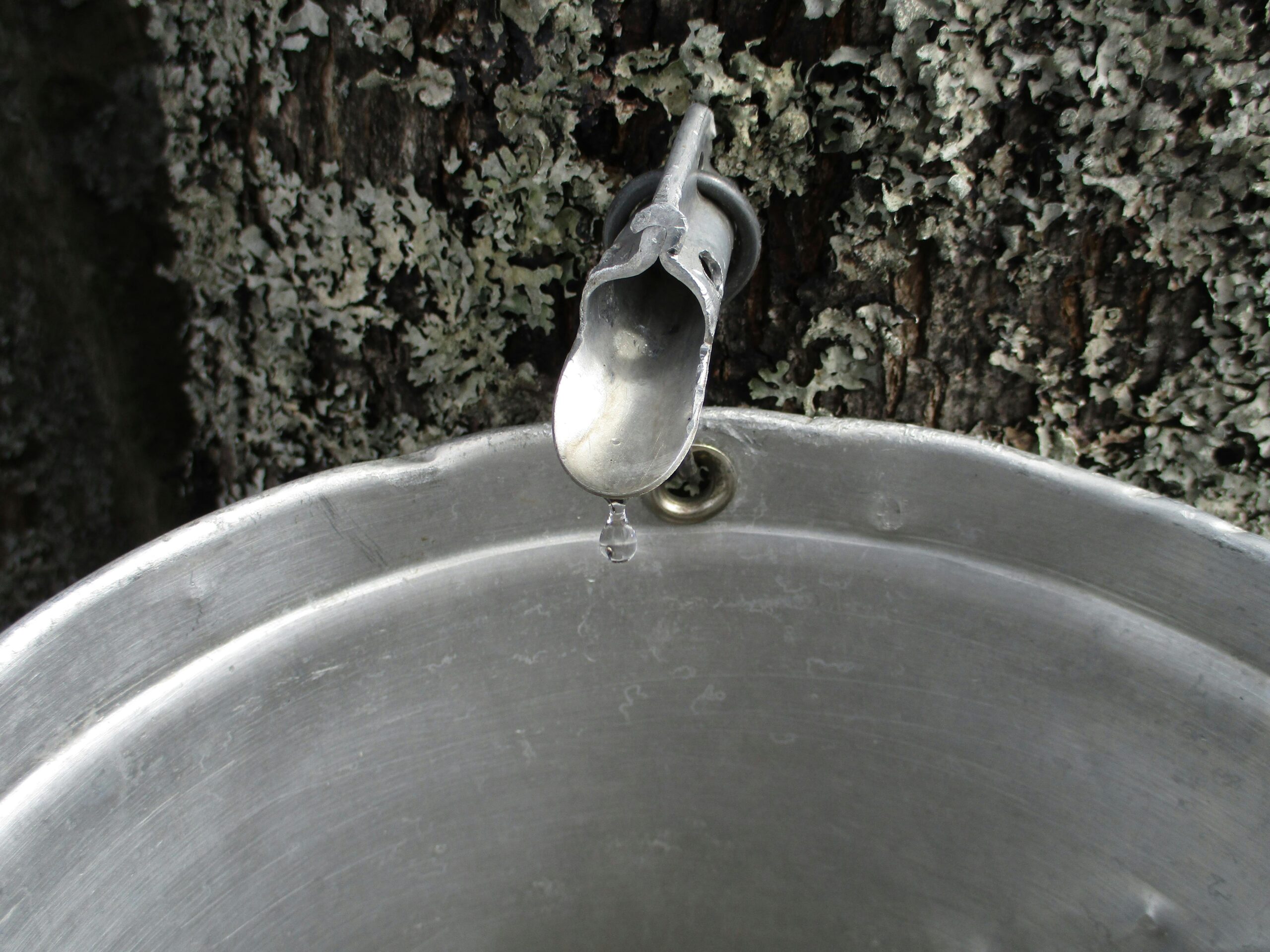 spout bucket