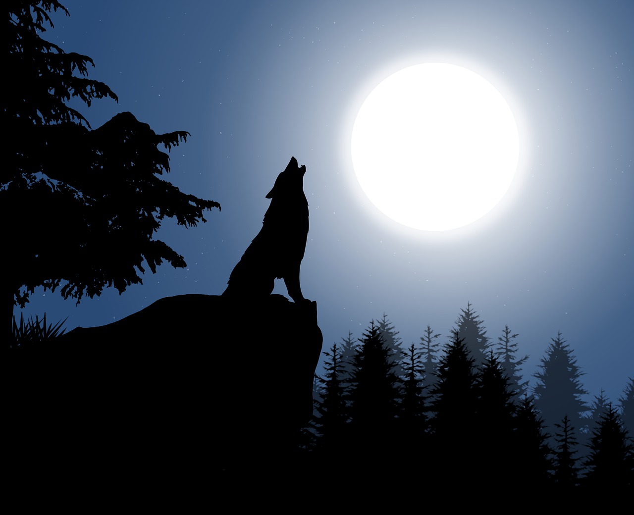 wolf moon night sky