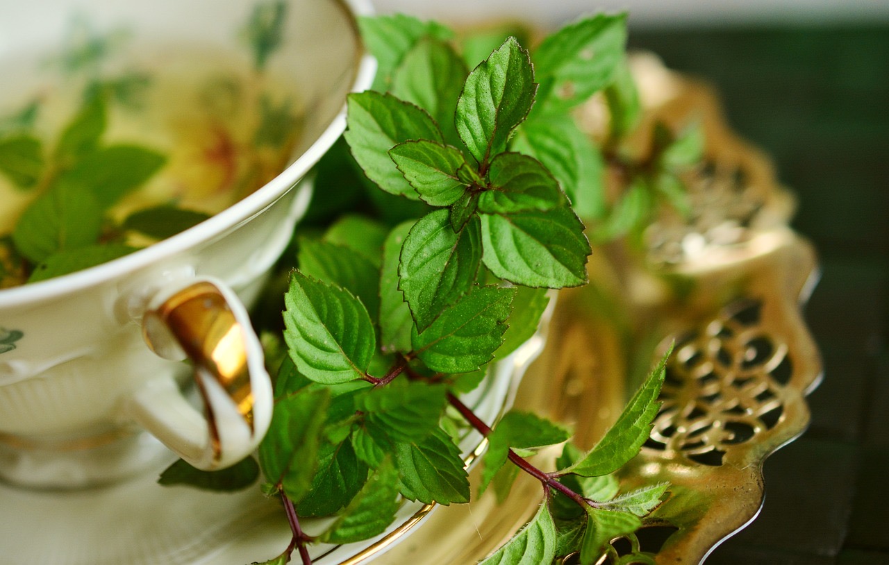 mint tea cup tea