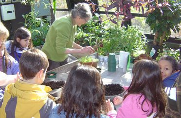 A group of kids on a field trip in a large greenhouse